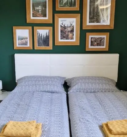 Apartman U Ludvicka Smržovka Exteriér fotografie