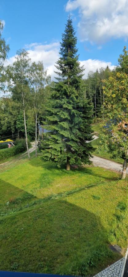 U Ludvicka Apartment Smrzovka